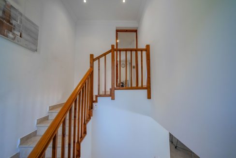 16171_MIK06312