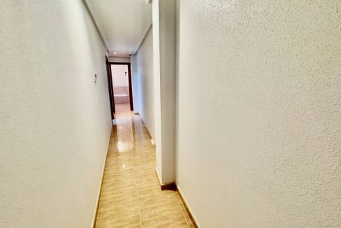 11864617_xl