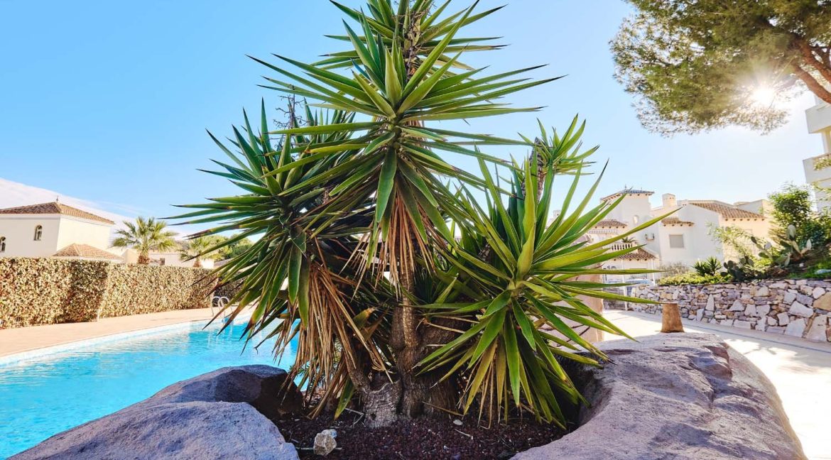 292_semi_detached_villa_for_sale_in_las_ramblas_160726103646_dscf7256