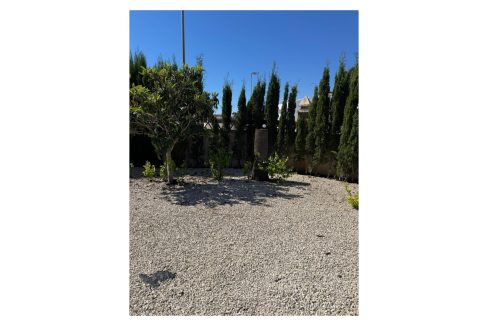 530254_xl