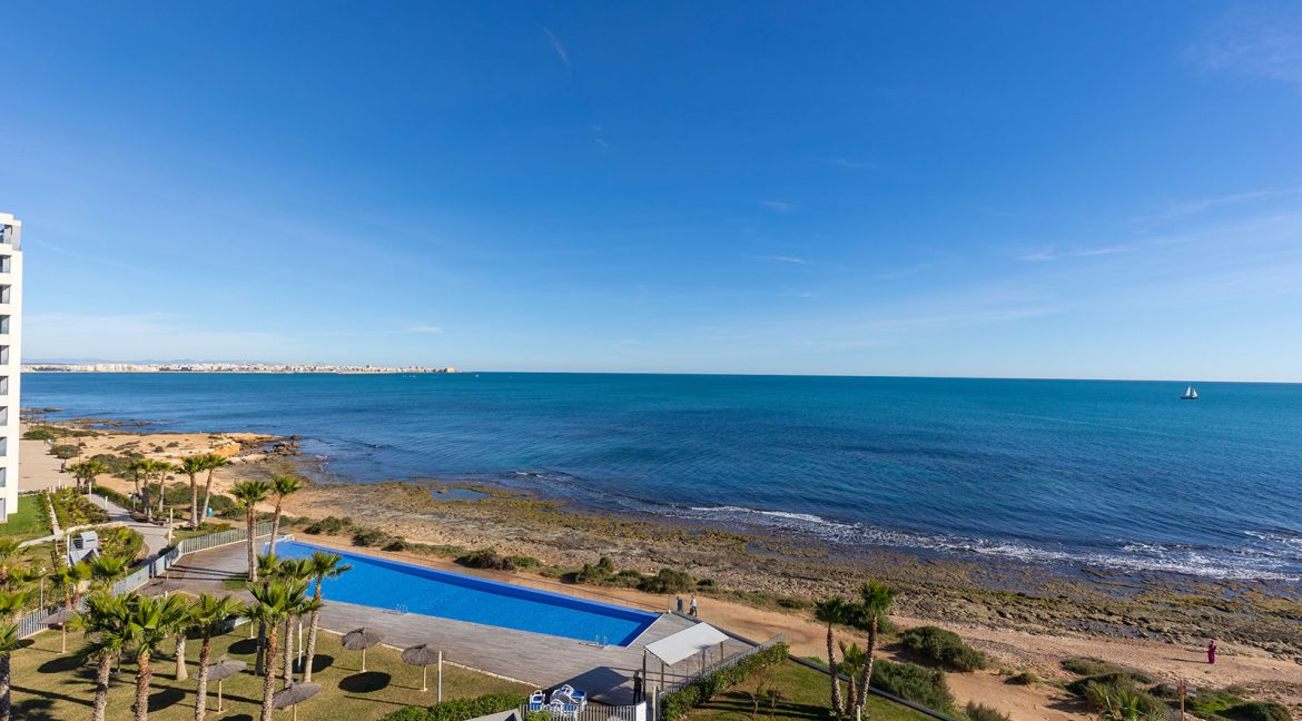Posidonia y panorama mar