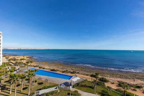 Posidonia y panorama mar