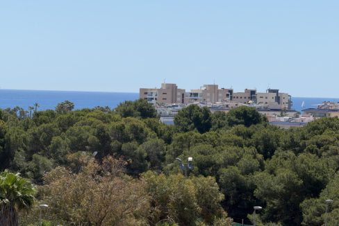 16176_IMG_5244